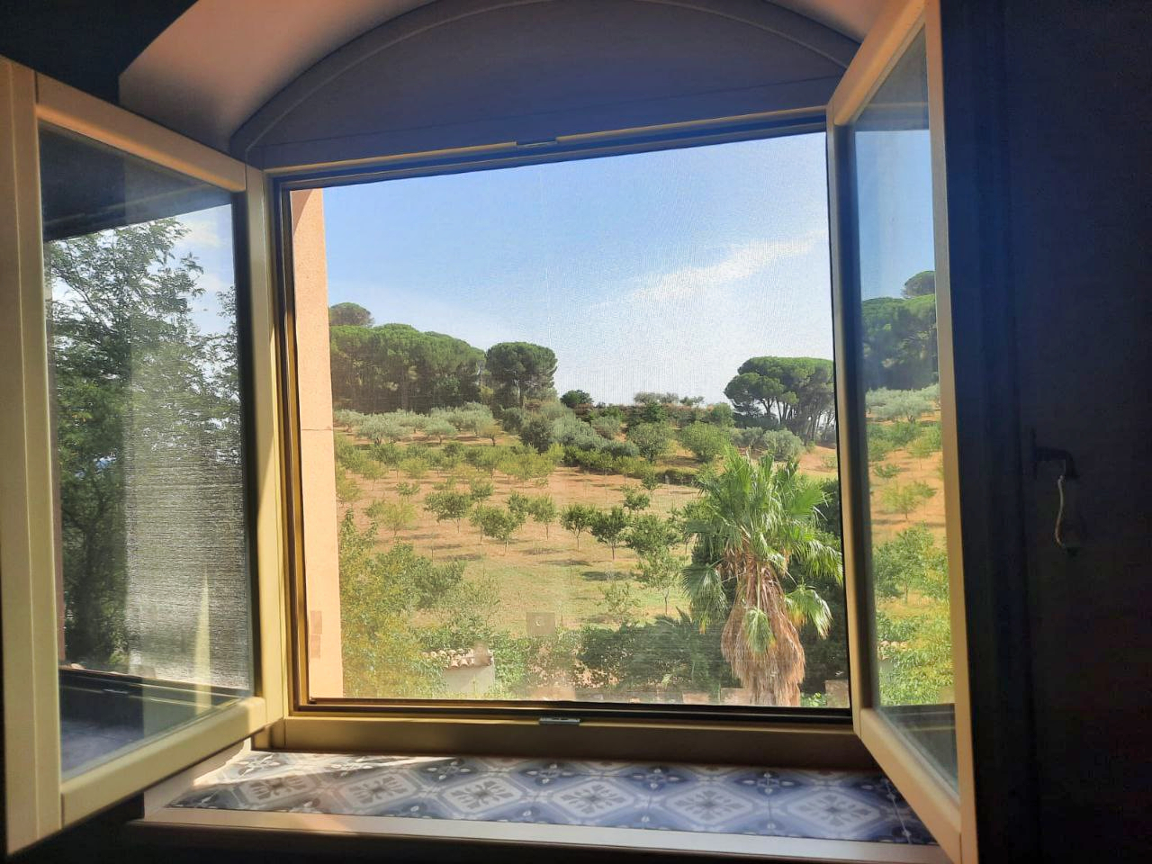 089__5868267173359766252