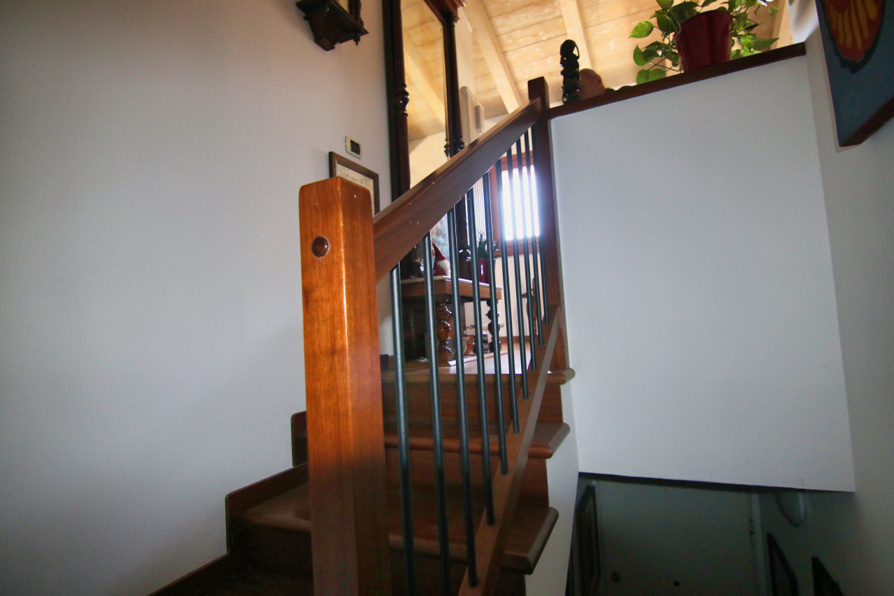 047__scale_interne__4