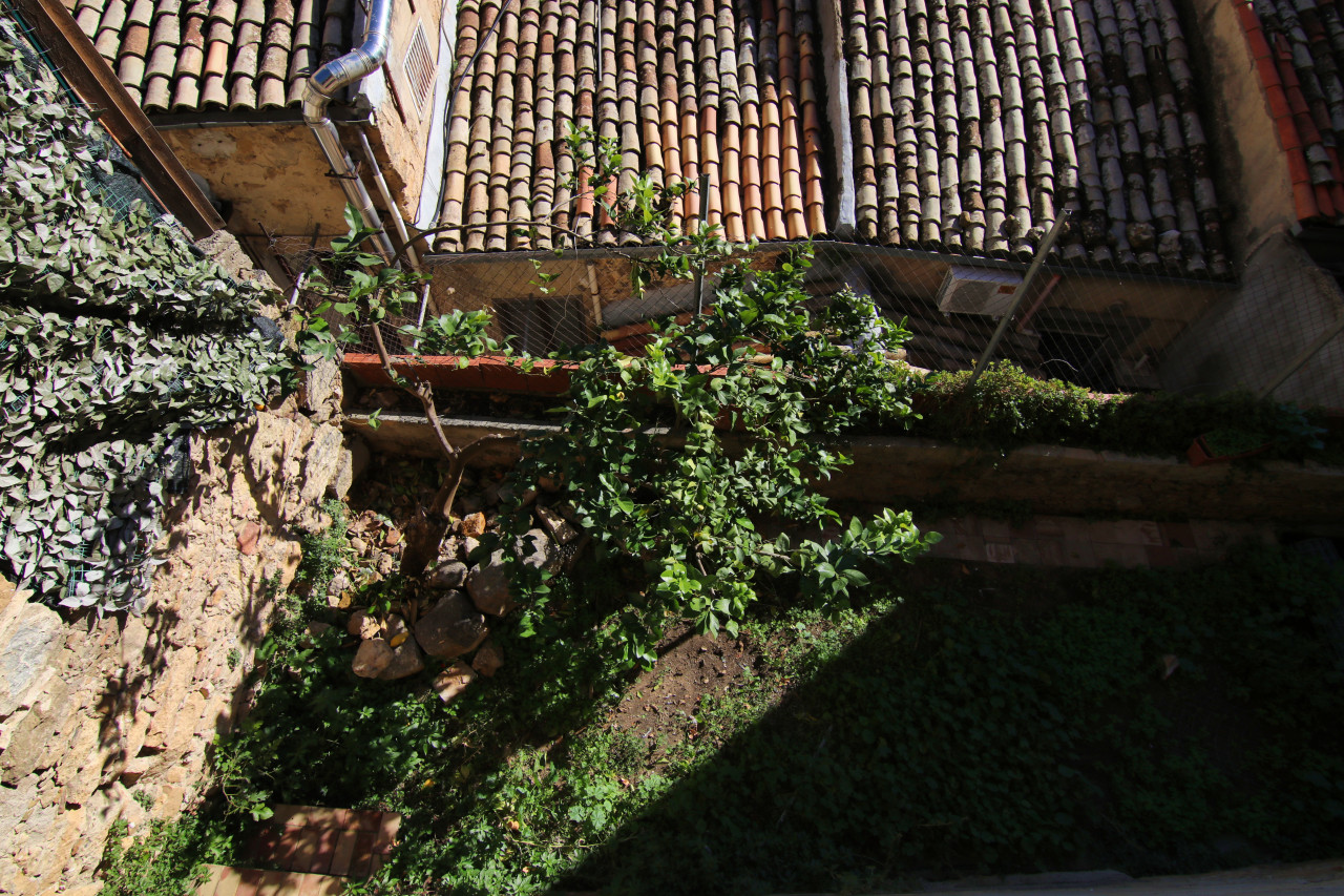 128__vista_giardino_esterno__4