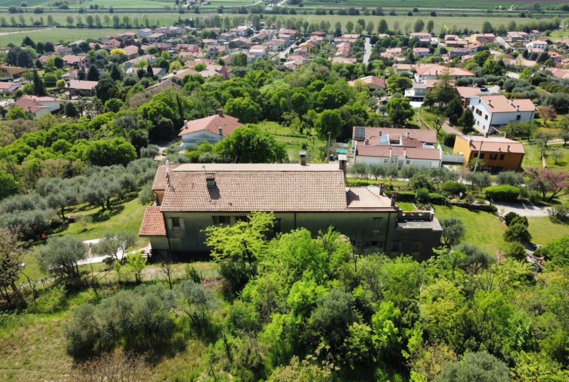 Un dono di Bacco: una villa sui Colli Euganei