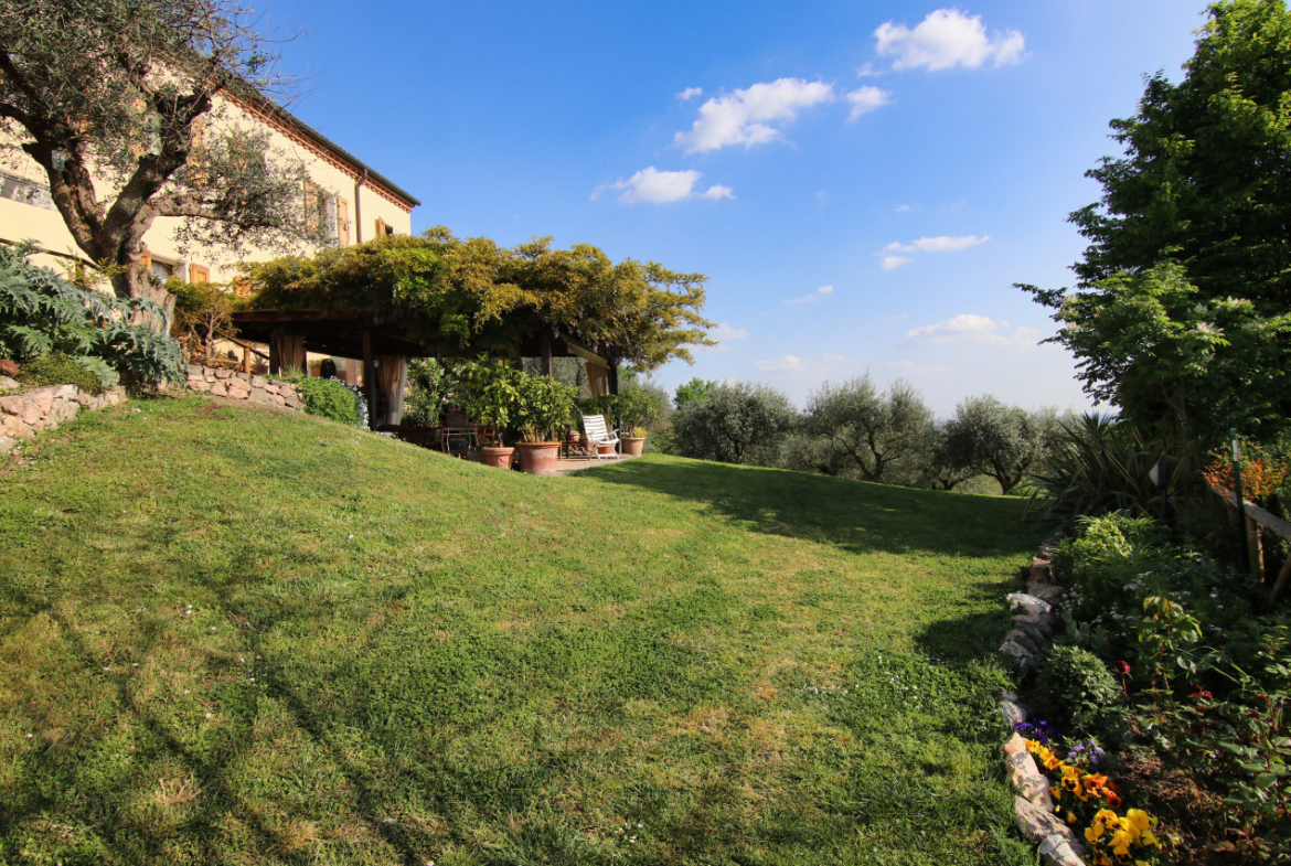Un dono di Bacco: una villa sui Colli Euganei