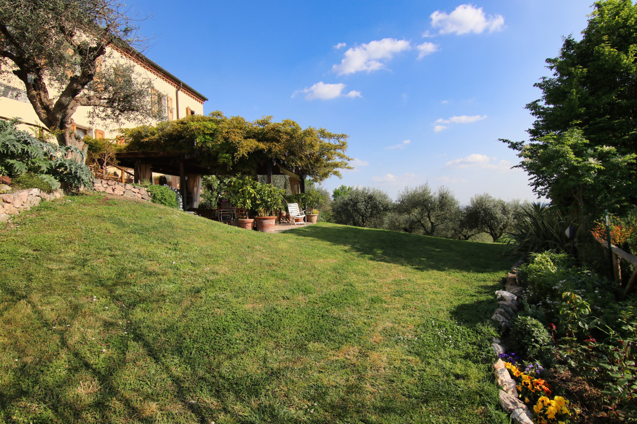 Un dono di Bacco: una villa sui Colli Euganei