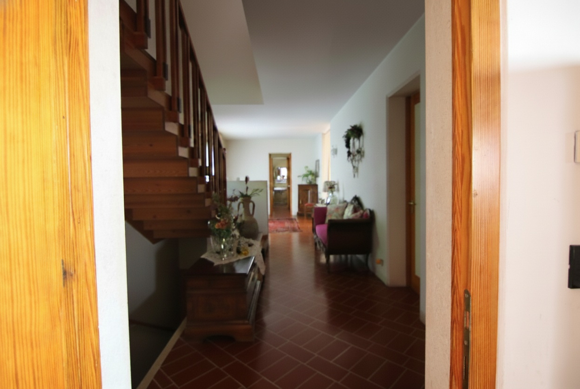 Un dono di Bacco: una villa sui Colli Euganei