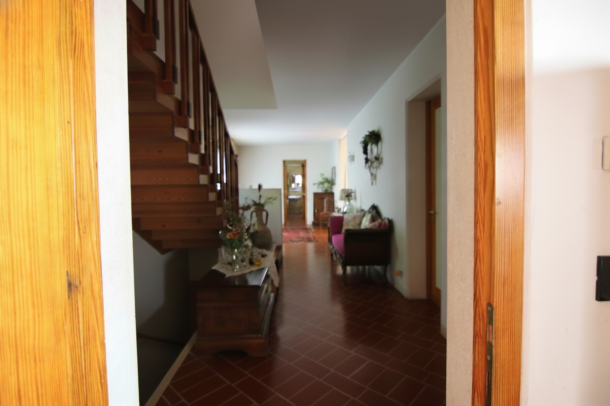 Un dono di Bacco: una villa sui Colli Euganei